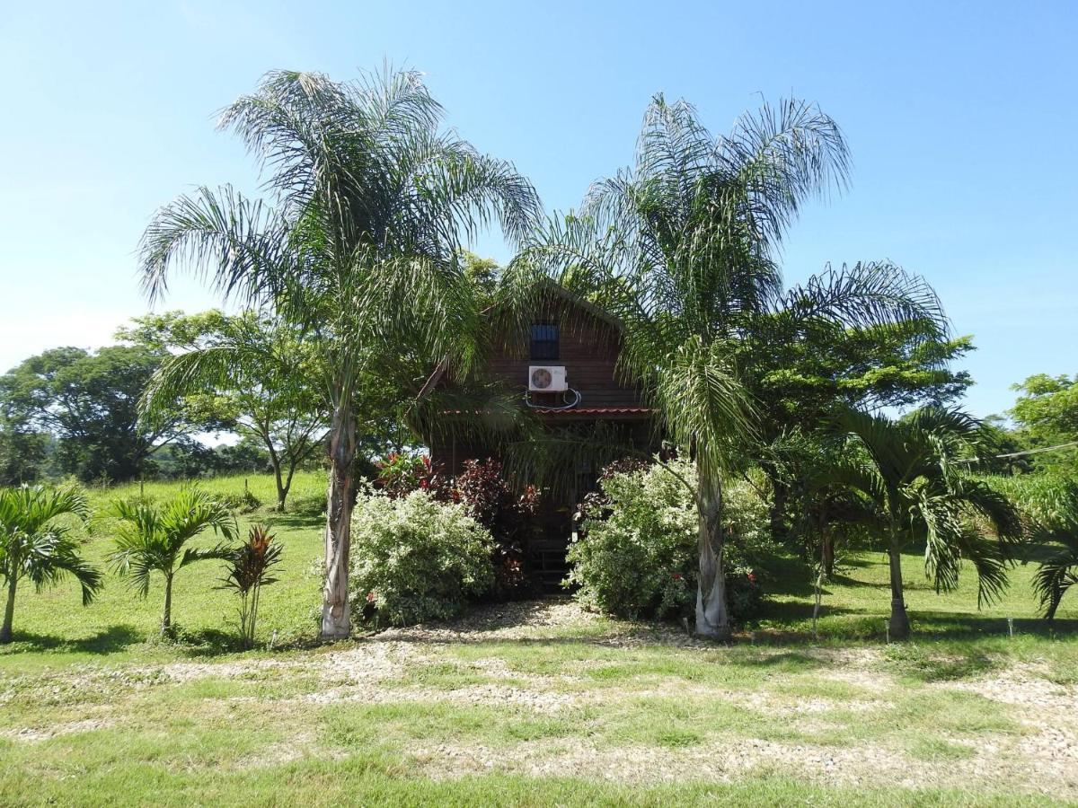 Pilgrims Paradise Cabin 2 Villa San Ignacio Exterior photo